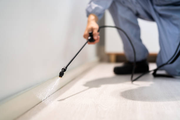 Bed Bug Pre-Treatment Preparation Assessment in Ladera Heights