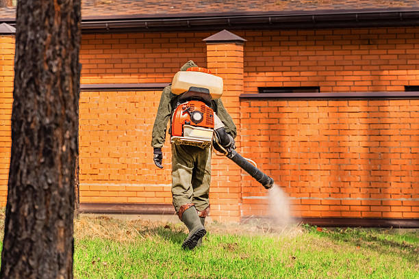 Bed Bug Clearance Verification and Documentation in Ladera Heights